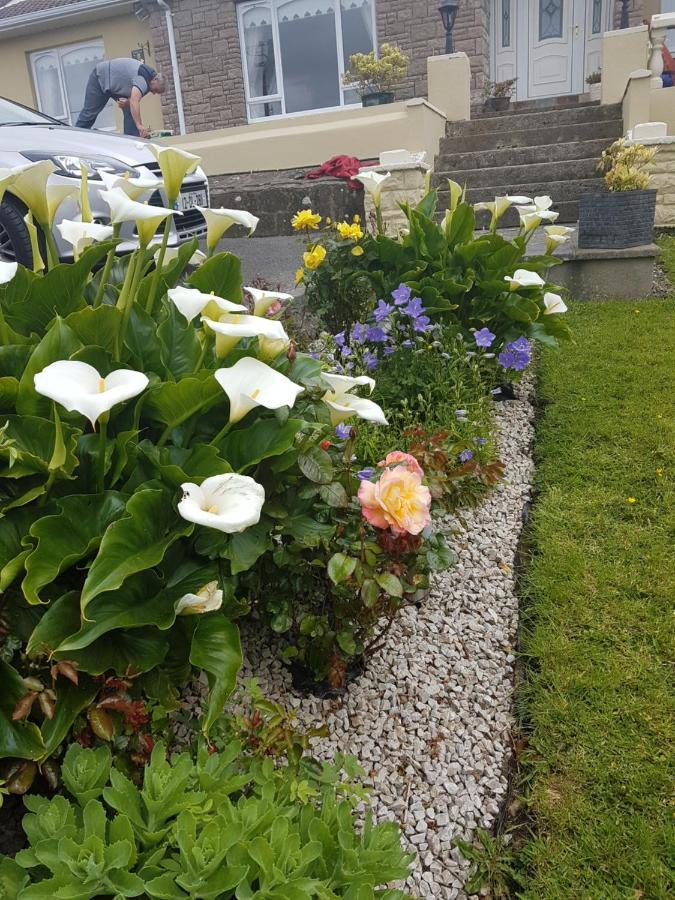 Channel View Ballyshannon Esterno foto